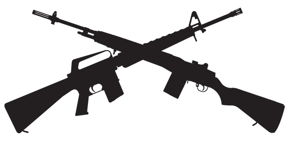 DMR / Sniper Rifle AEGs